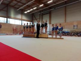 Palmarès Compétition gymnastique féminine jeunesses aînées fscf 35