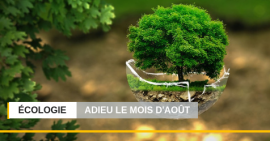 FSCF écologie Adieu le mois d’août FSCF écologie Adieu le mois d’août