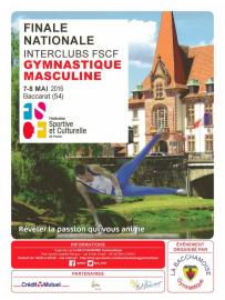 Finales nationales gym masculine