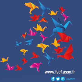 affiche des colloques congrès fscf ille et vilaine 35