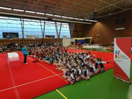 Championnat départemental - gymnastique féminine poussine du 11 Février 2018