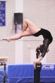 La gymnastique, force vive de l’ouest lyonnais  