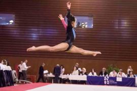 Demies-Finales de Coupes Fédérales de gymnastiques mixtes à Brest