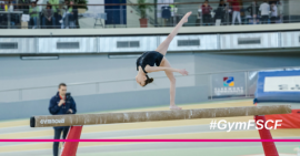 FSCF Gymnastique masculine