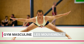 Gymnastique masculine FSCF