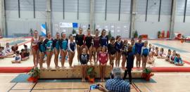 DEMI FINALES COUPES MIXTES DE GYMNASTIQUE 2019