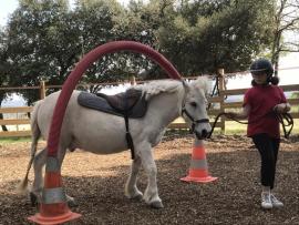 Equihomologie avec ISOFACULTE