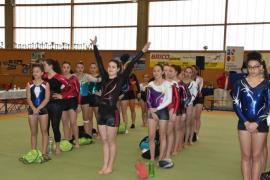 FSCF 35 Palmarès gymnastique féminine