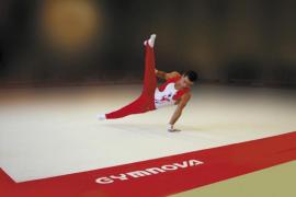 FSCF ille-et-vilaine gymnastique masculine 