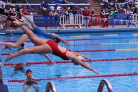 La natation mise à l’honneur à Tours pour le championnat national 2016  