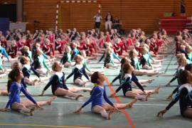 gymnastique compétition interrégionale Eloyes 