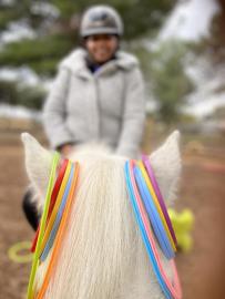 FSCF_l'équihomologie-le-cheval-comme-allié-de-la-santé