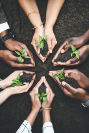 FSCF_journée_mondiale_de_l'environnement_2024