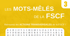 FSCF MOTS MÊLÉS ACTIONS TRANSVERSALES