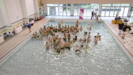 FSCF natation