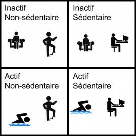 FSCF_un-jeu-pour-comprendre-la-différence-sedentarite-inactivite