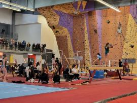 Les étoiles de la Gymnastique Féminine en compétition FSCF_Les-étoiles-de-la-Gymnastique-Féminine-en-compétition