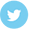 Page Twitter FSCF